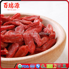 Beneficios de la baya de goji salvaje Beneficios de baya de goji de pérdida de peso beneficios de la baya de goji ayuda a reducir el peso